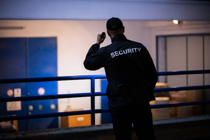 Security Deterrents: Strengthening Protection against Threats